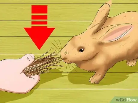 Image titled Keep Rabbits Warm in Sub Zero Weather Step 8