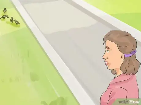 Image titled Keep Safe from Swooping Australian Magpies Step 4