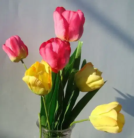 Image titled Pink yellow tulips