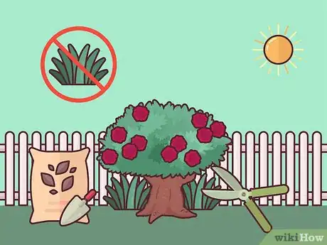 Image titled Save a Dying Rose Bush Step 3