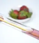 Extract Strawberry DNA