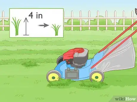 Image titled Prevent Millipedes Step 2