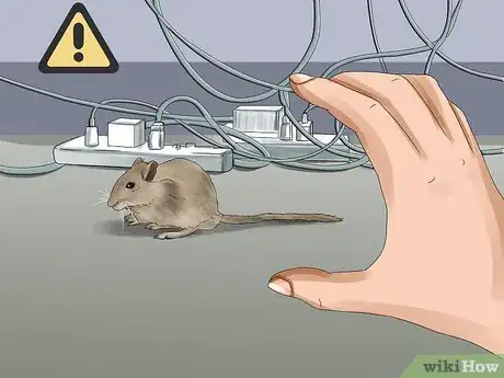 Image titled Catch a Gerbil on the Loose Step 7