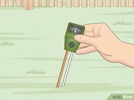 Image titled Plant Trees Near a Home without Damaging Your Foundation Step 10