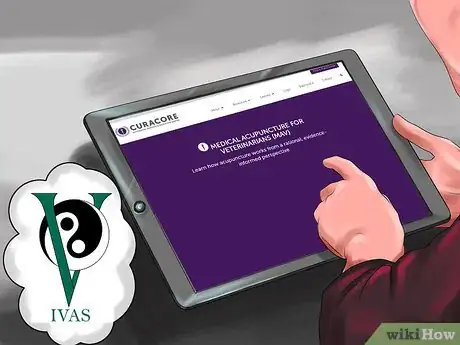 Image titled Treat a Cat with Acupuncture Step 10