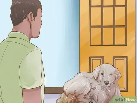 Image titled Protect an Easily Disoriented Older Dog Step 2
