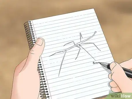 Image titled Watch Insects Step 18