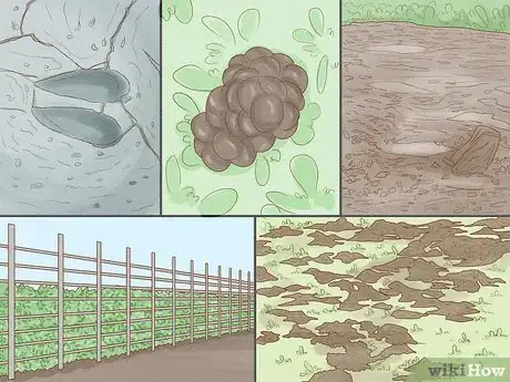 Image titled Protect Crops from Wild Pigs Step 16