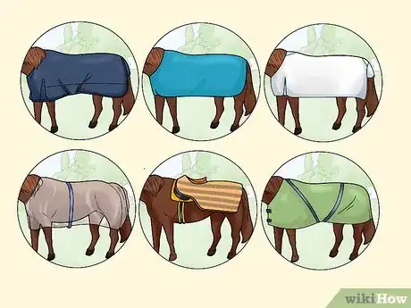 Image titled Take off a Horse Blanket Step 1
