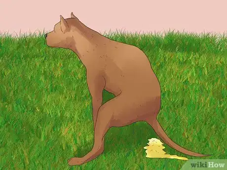 Image titled Diagnose and Treat Dog Diarrhea Step 16