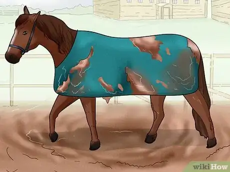Image titled Take off a Horse Blanket Step 3