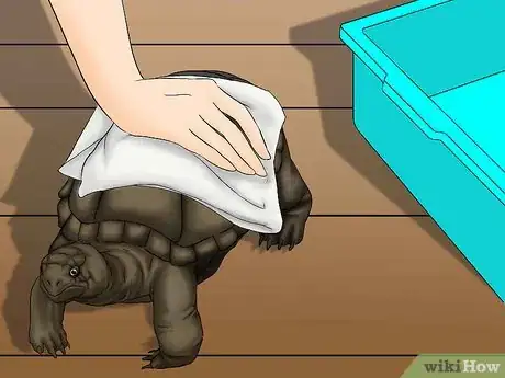 Image titled Help a Shedding Pet Reptile Step 3