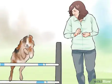 Image titled Get Your Dog to Jump Poles Step 15