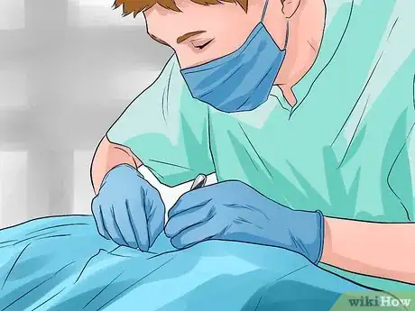 Image titled Care for American Longhair Cats Step 13