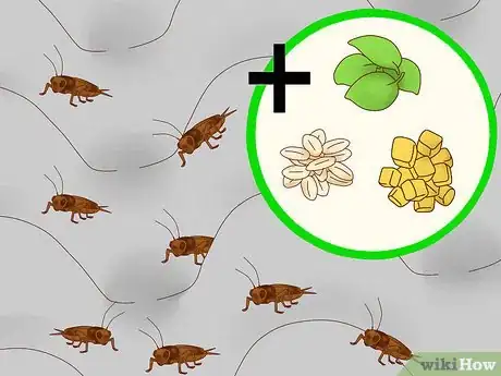 Image titled Feed a Lizard Step 10