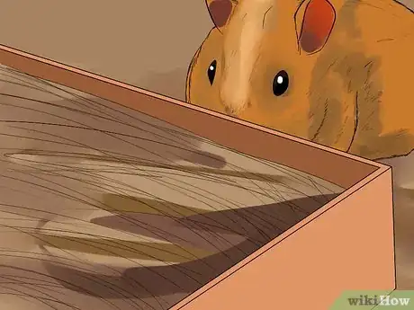 Image titled Introduce a New Guinea Pig to a Community Cage Step 6