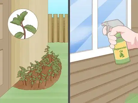 Image titled Get Rid of Rats Without Harming the Environment Step 10