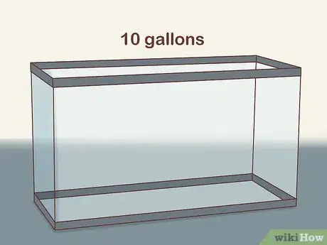 Image titled Find Compatible Tank Mates for Guppies Step 1