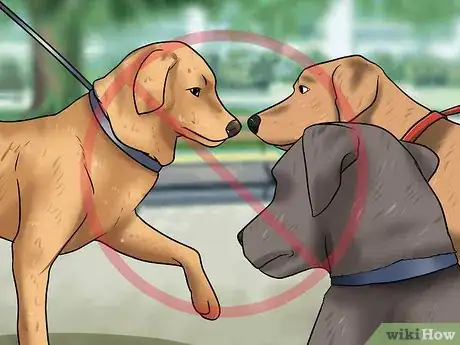 Image titled Prevent Canine Coronavirus Step 6