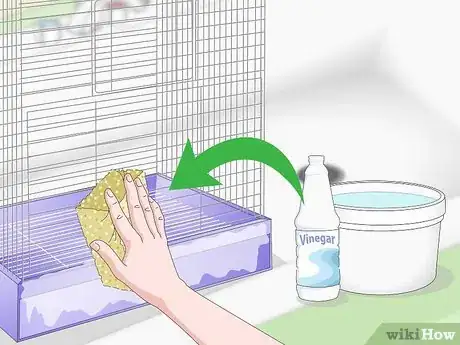 Image titled Clean a Cockatoo Cage Step 9