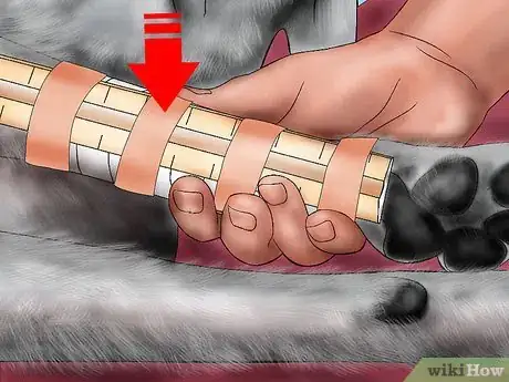 Image titled Splint a Dog's Leg Step 15