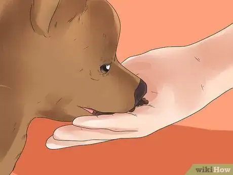 Image titled Diagnose and Treat Dog Diarrhea Step 21