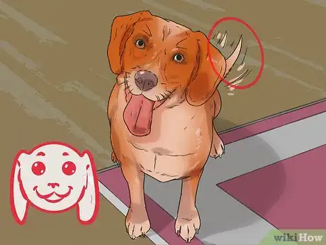 Image titled Get Along with Your Dog Step 1