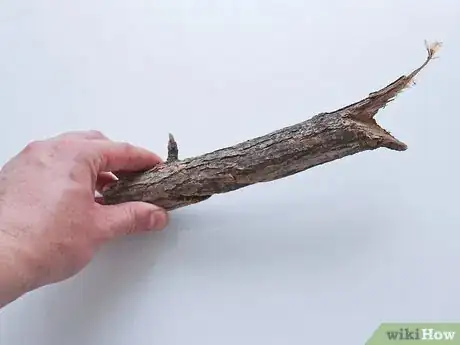 Image titled Make Buttons from Branches Step 2