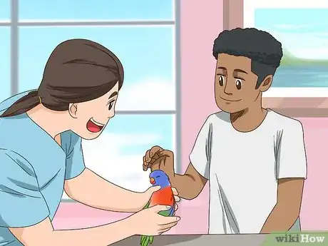 Image titled Groom Lories and Lorikeets Step 10