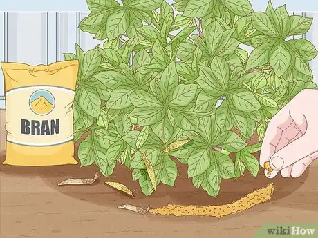 Image titled Does Vinegar Work for Slug Control Step 7