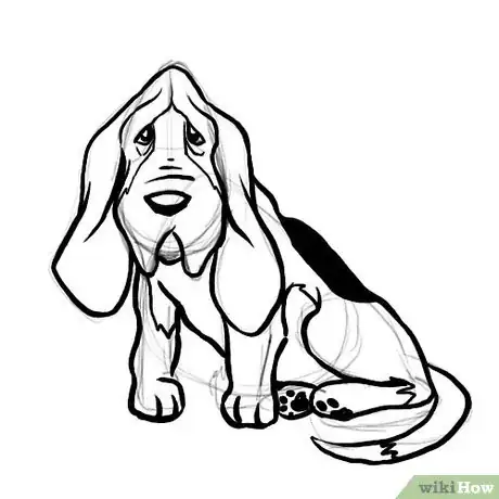 Image titled Basset hound outline Step 6