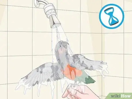 Image titled Know if a Red Bellied Parrot Is Right for You Step 8