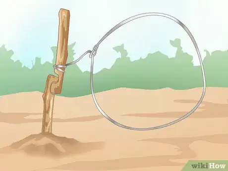 Image titled Trap a Rabbit Step 19