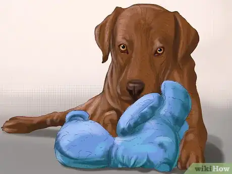 Image titled Select Safe Dog Toys Step 10
