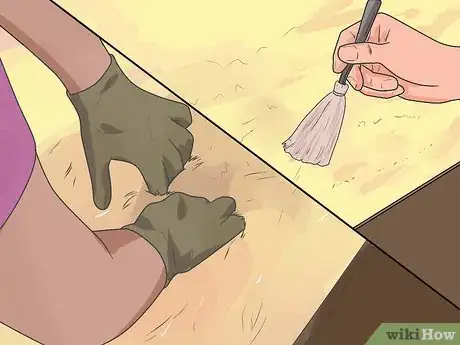 Image titled Travel With a Small Pet Step 21