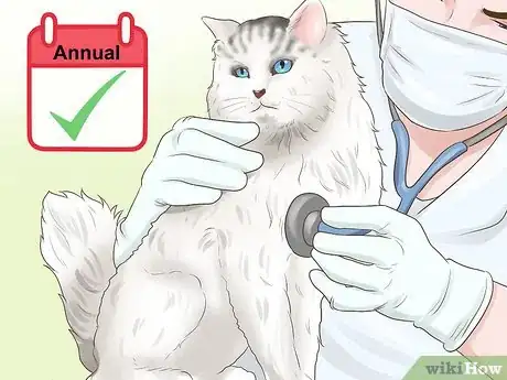 Image titled Take Care of a Ragamuffin Cat Step 10