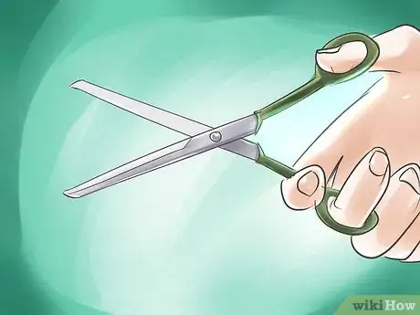 Image titled 1035918 17