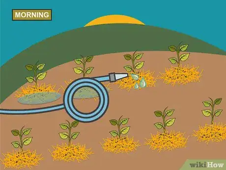 Image titled Grow Hot Peppers Step 16