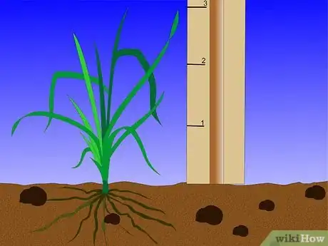 Image titled Kill Weeds Step 1