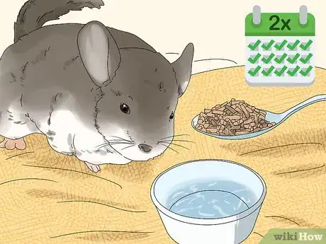 Image titled Feed a Chinchilla Step 2