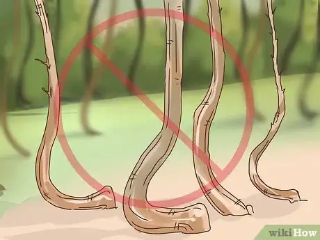 Image titled Choose Plants for Good Feng Shui Step 5