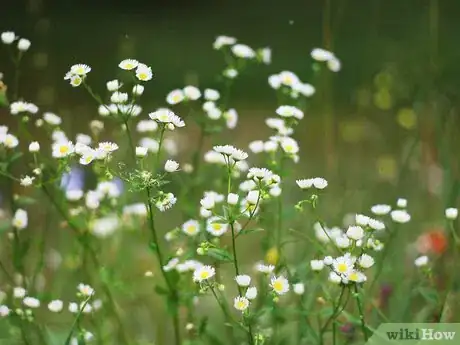 Image titled Cope in the World of Ego Step 9