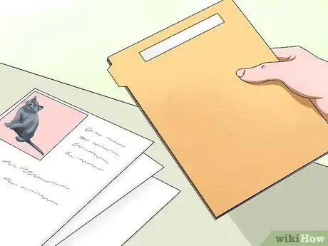 Image titled Identify a Russian Blue Step 8