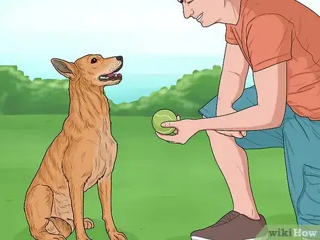 Image titled Hang Out with Your Dog Step 2