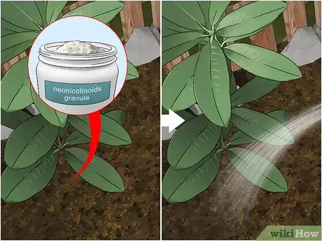 Image titled Control Lace Bugs in Your Flower Garden Step 4