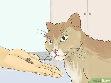 Image titled Help a Cat with Anxiety Step 6