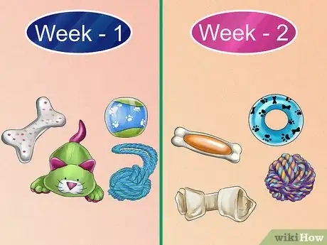 Image titled Rotate Your Dog's Toys Step 2