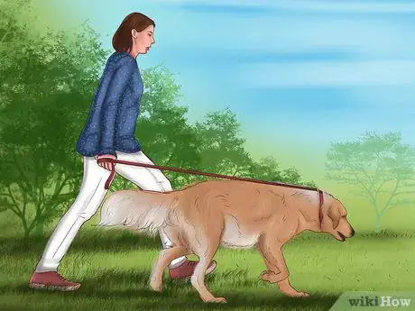 Image titled Care for a Borzoi Step 2