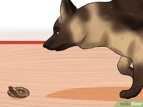 Image titled Prevent Canine Coronavirus Step 9