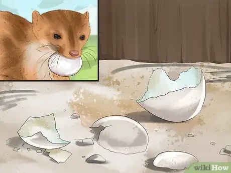 Image titled Catch Weasels Step 12